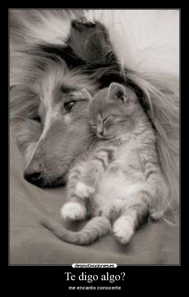 Te digo algo? - me encanto conocerte