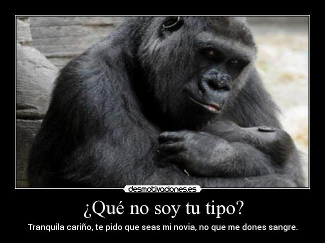 carteles ml1995 minupuella mira mira intento numero 334 para principal desmotivaciones