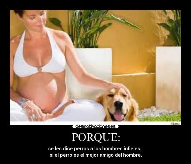 carteles angielizarazo desmotivaciones