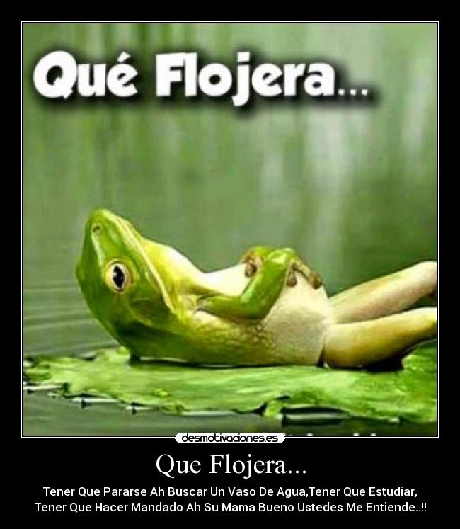 Que Flojera... - Tener Que Pararse Ah Buscar Un Vaso De Agua,Tener Que Estudiar,
Tener Que Hacer Mandado Ah Su Mama Bueno Ustedes Me Entiende..!!