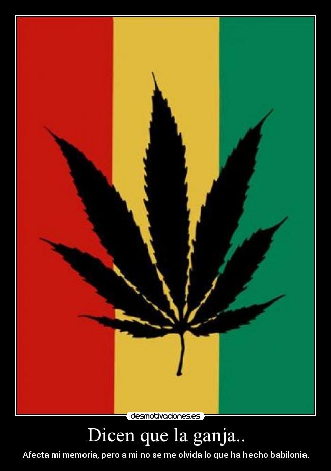 Dicen que la ganja.. - Afecta mi memoria, pero a mi no se me olvida lo que ha hecho babilonia.