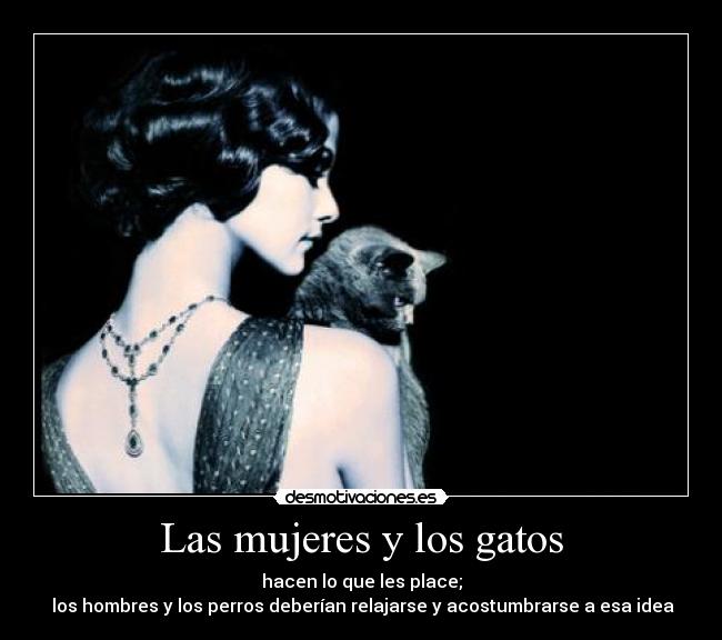 carteles gatos mujeres gatos desmotivaciones