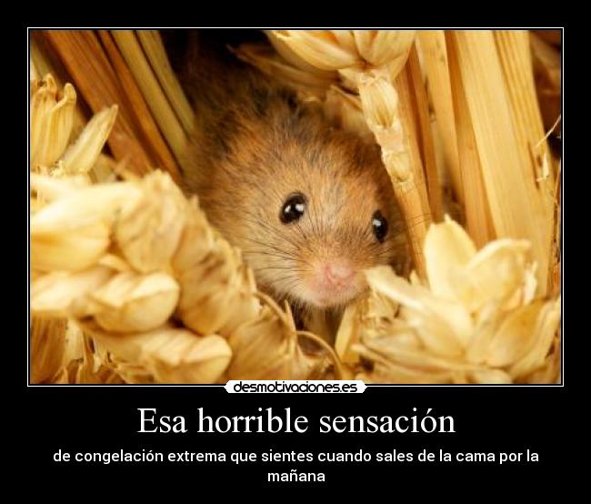 Esa horrible sensación - de congelación extrema que sientes cuando sales de la cama por la mañana