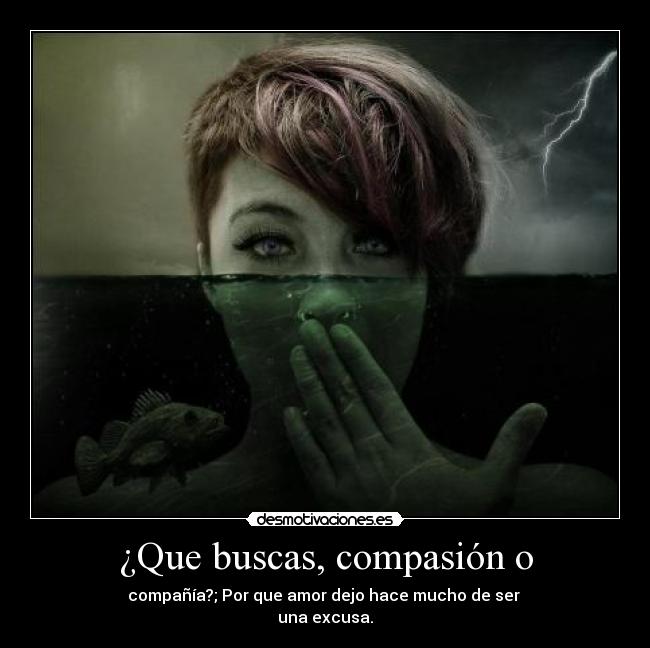 ¿Que buscas, compasión o - compañía?; Por que amor dejo hace mucho de ser 
una excusa.