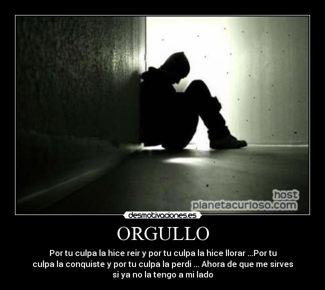 carteles nena0525 desmotivaciones