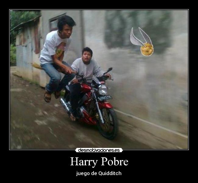 Harry Pobre - juego de Quidditch