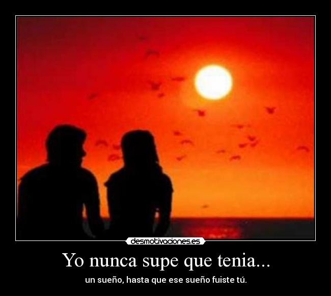Yo nunca supe que tenia... - un sueño, hasta que ese sueño fuiste tú.