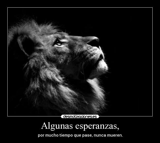 Algunas esperanzas, -