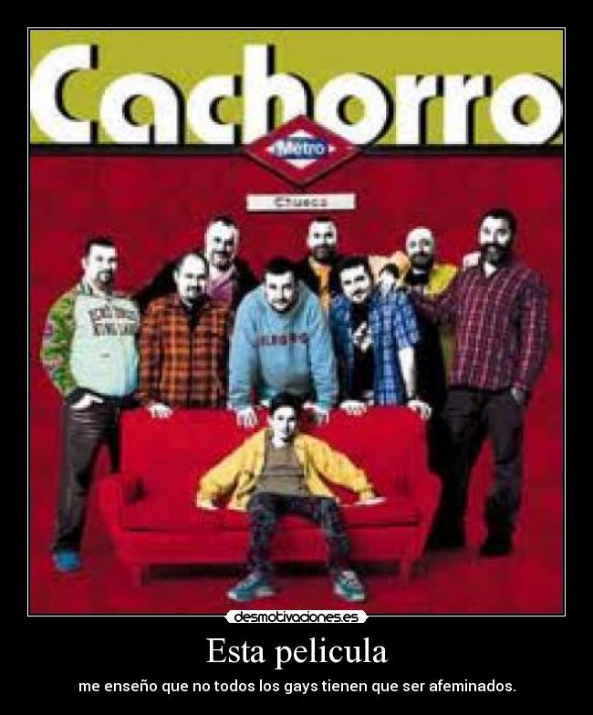 Esta pelicula - me enseño que no todos los gays tienen que ser afeminados.