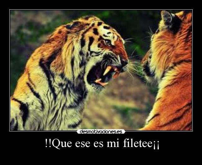 !!Que ese es mi filetee¡¡ -