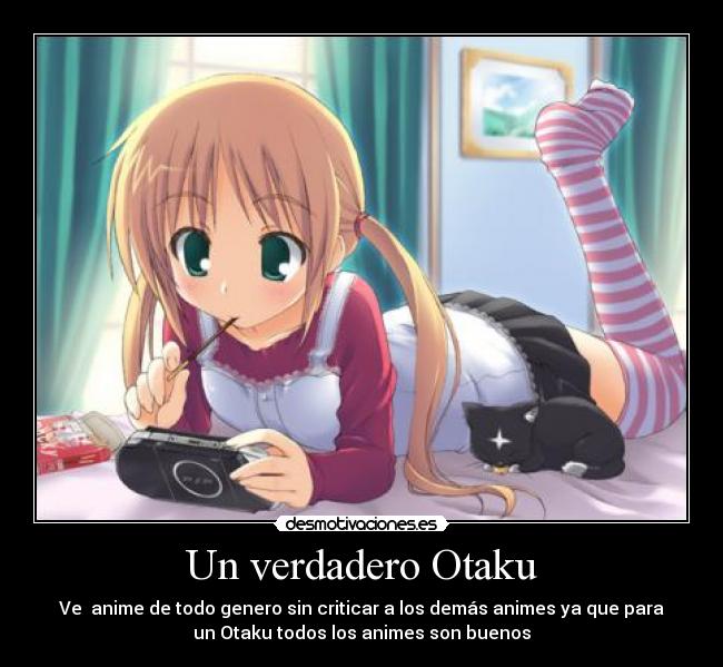 Un verdadero Otaku -