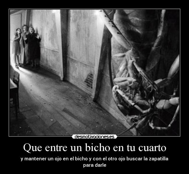 carteles rapyeah zenore dan miedo los bishos desmotivaciones