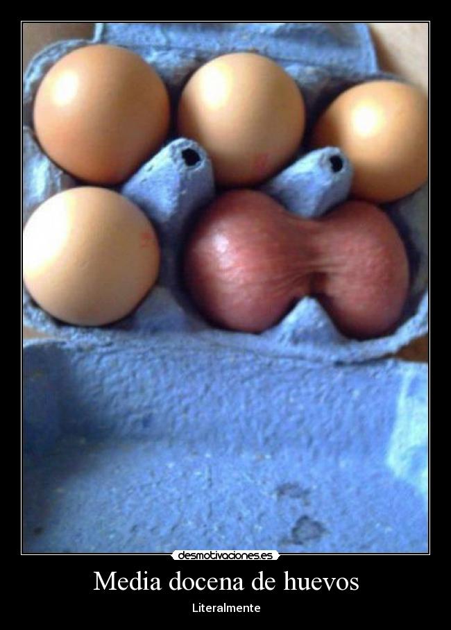 Media docena de huevos - Literalmente