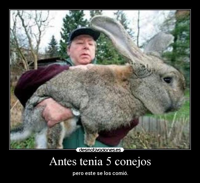 Antes tenia 5 conejos - pero este se los comió.