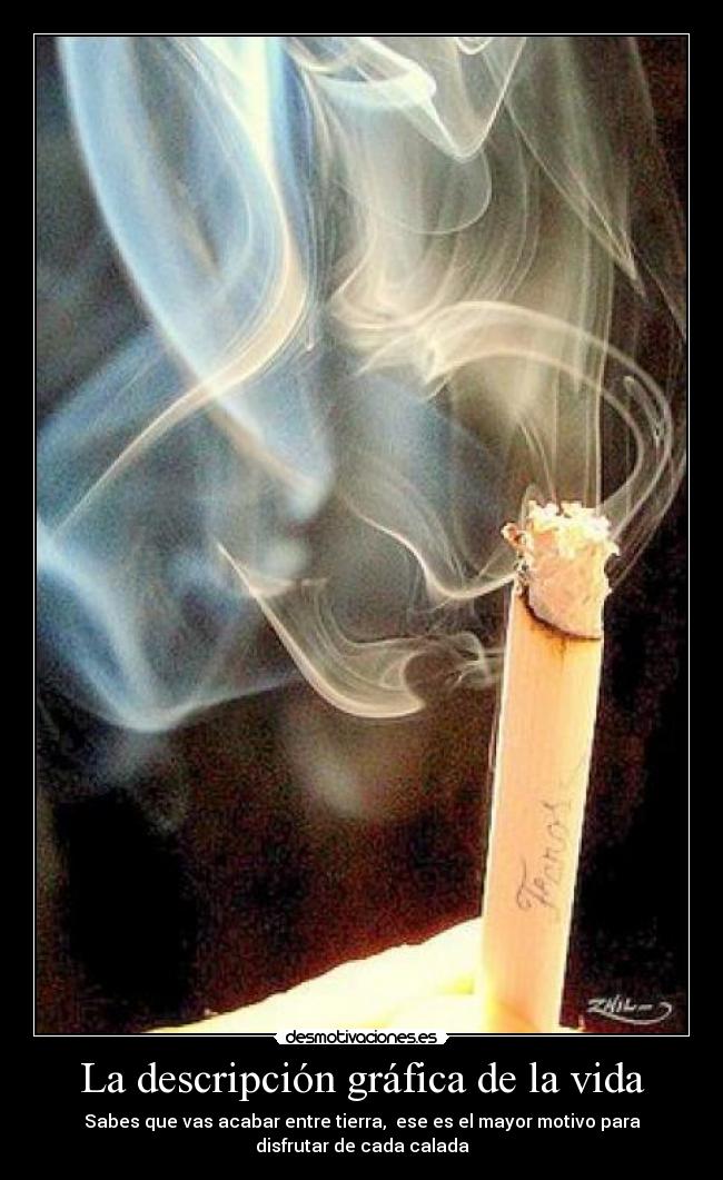La descripción gráfica de la vida - Sabes que vas acabar entre tierra,  ese es el mayor motivo para
disfrutar de cada calada