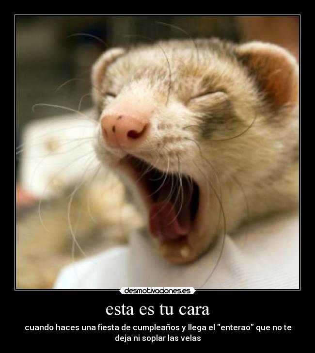 esta es tu cara - cuando haces una fiesta de cumpleaños y llega el enterao que no te
deja ni soplar las velas