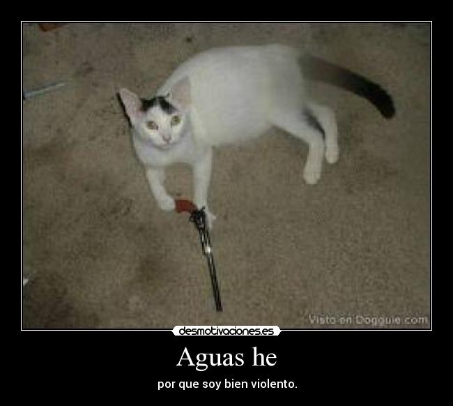 Aguas he - por que soy bien violento.