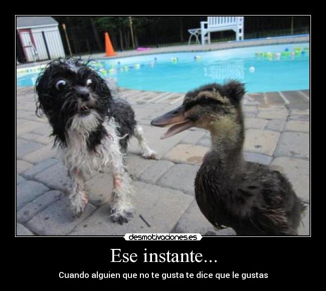 Ese instante... - Cuando alguien que no te gusta te dice que le gustas