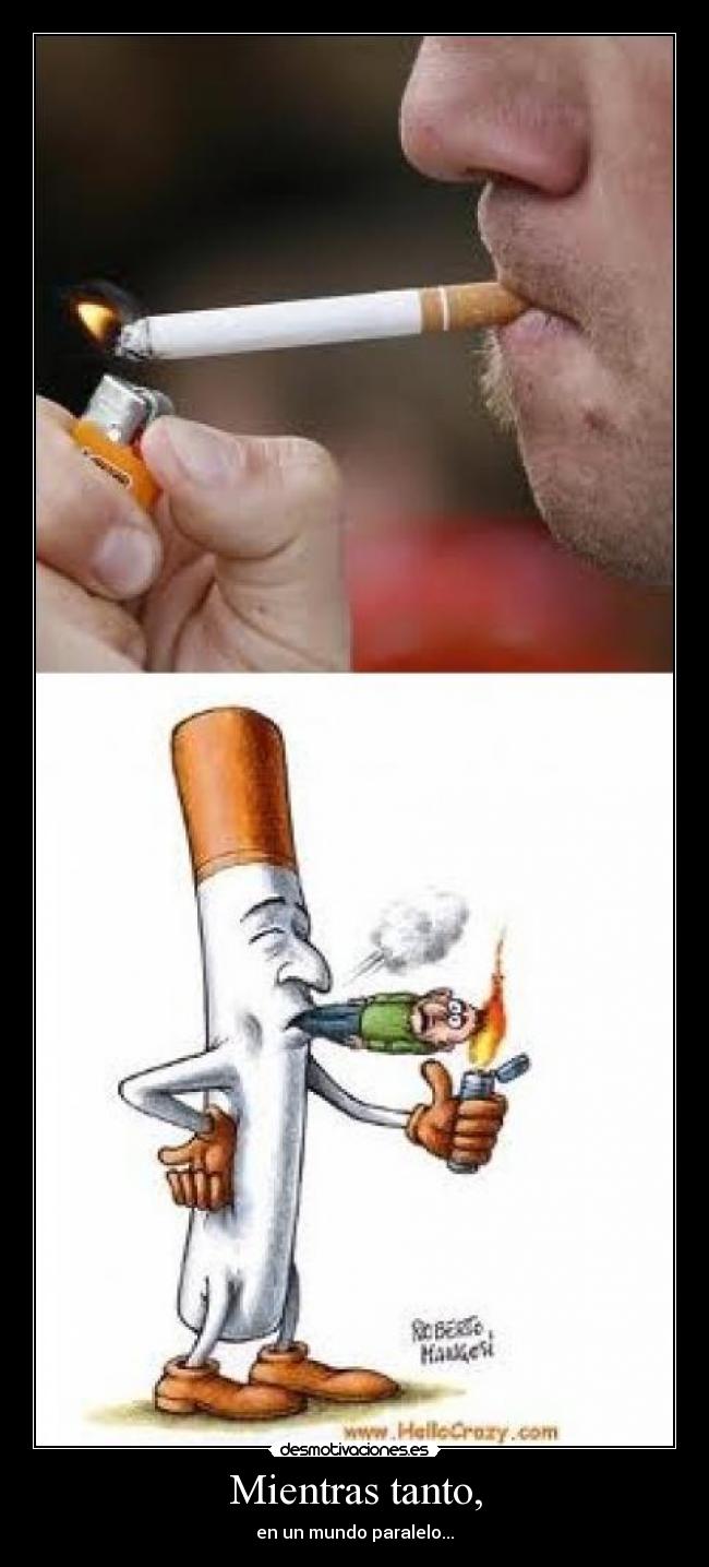 Mientras tanto, - en un mundo paralelo...