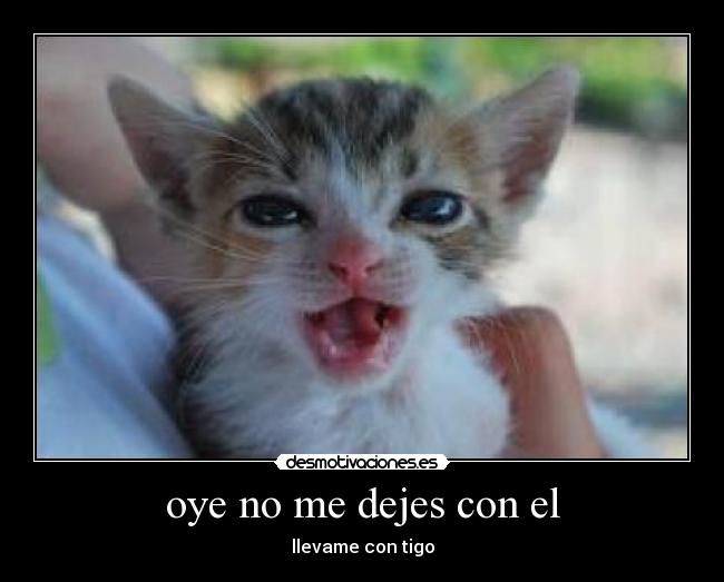 oye no me dejes con el - llevame con tigo