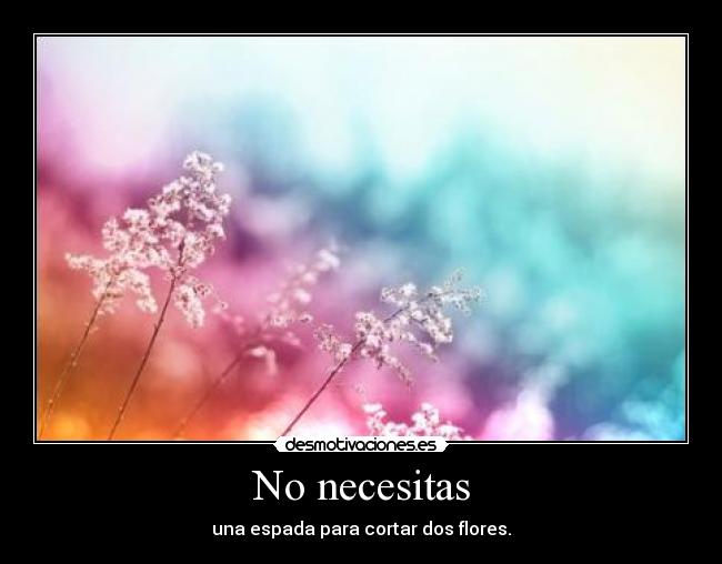 No necesitas - una espada para cortar dos flores.
