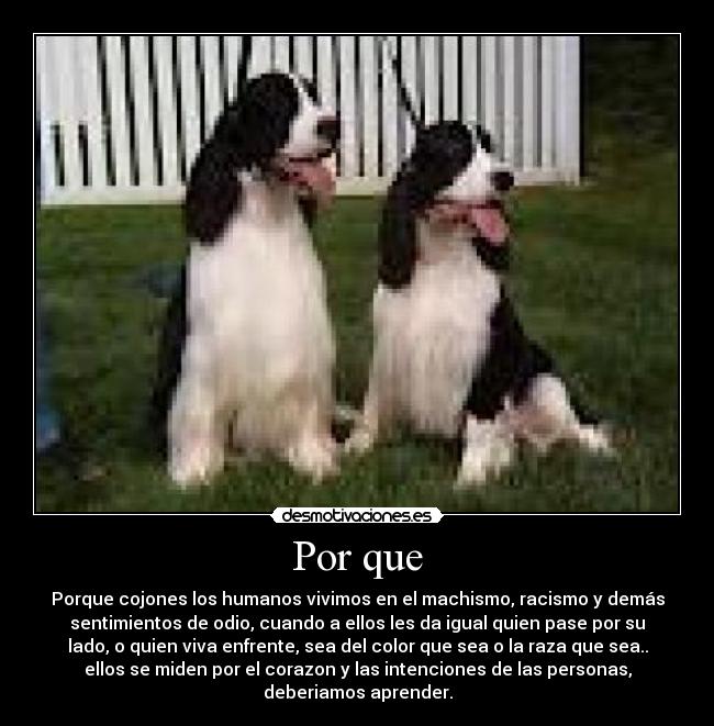 Por que - Porque cojones los humanos vivimos en el machismo, racismo y demás
sentimientos de odio, cuando a ellos les da igual quien pase por su
lado, o quien viva enfrente, sea del color que sea o la raza que sea..
ellos se miden por el corazon y las intenciones de las personas,
deberiamos aprender.