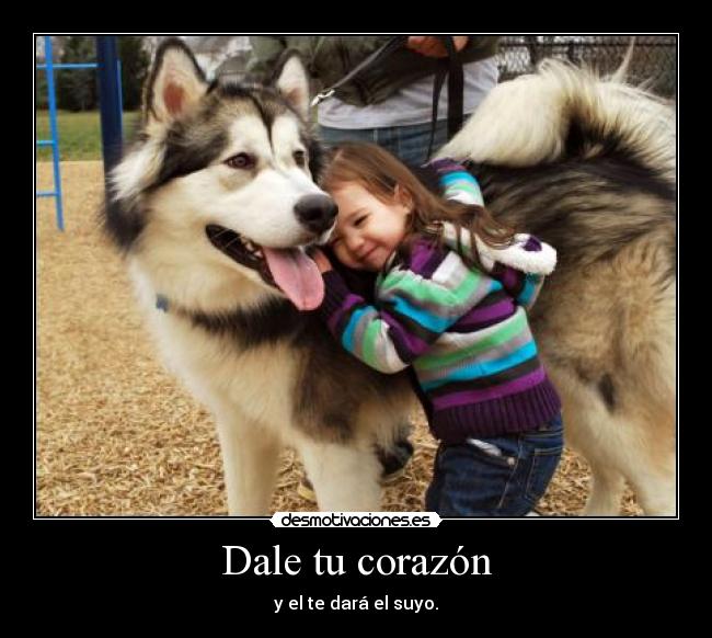 Dale tu corazón -