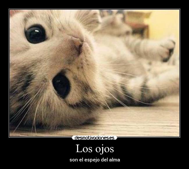 Los ojos -