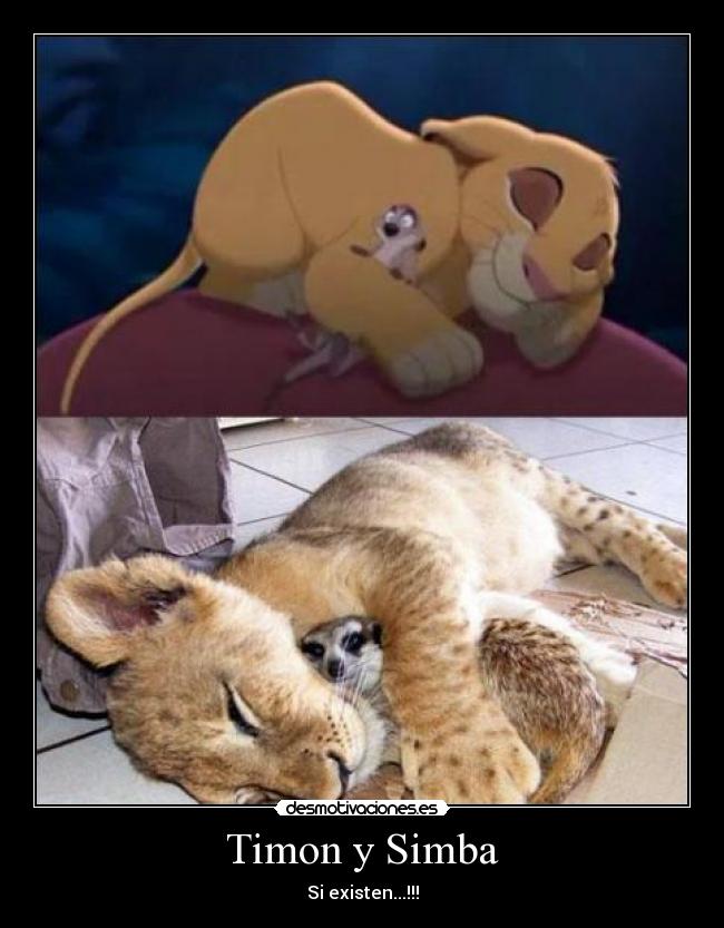 Timon y Simba - 