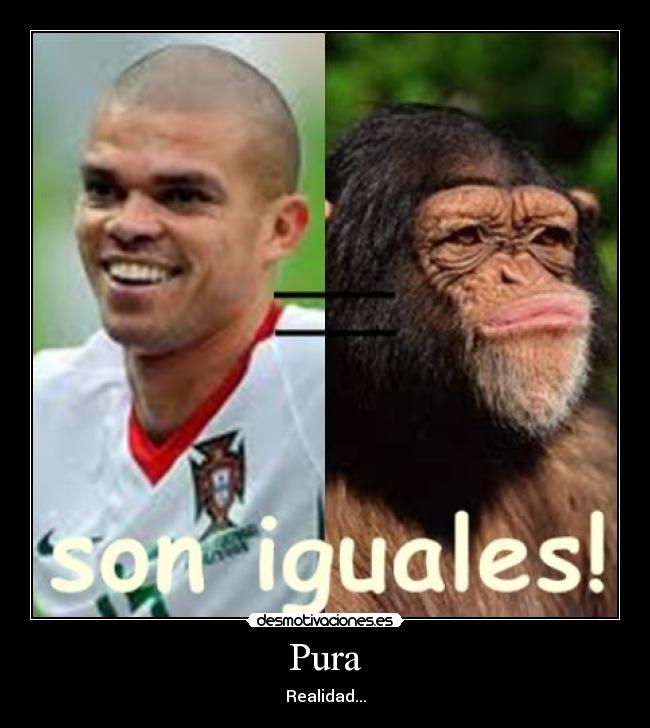 Pura - Realidad...