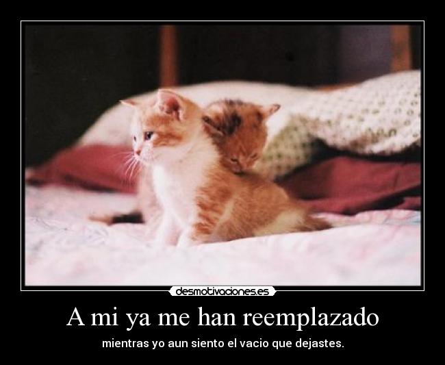 A mi ya me han reemplazado -