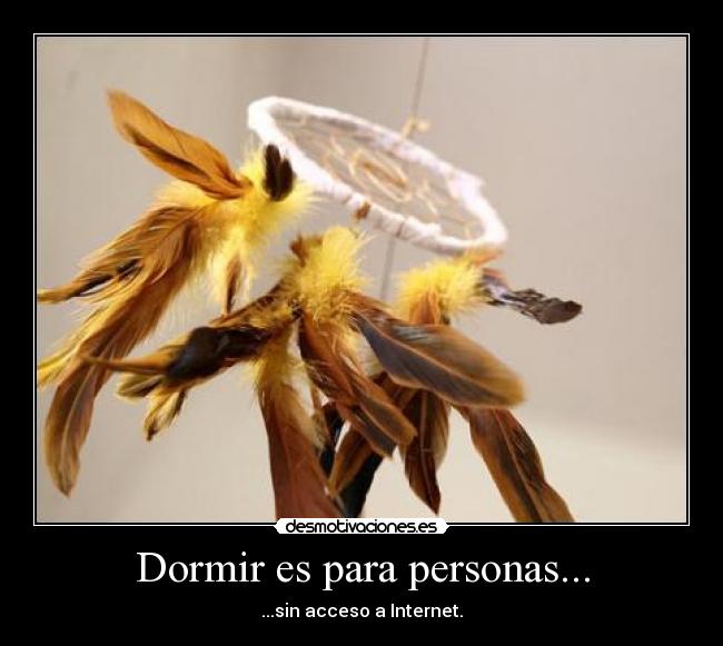 Dormir es para personas... - ...sin acceso a Internet.