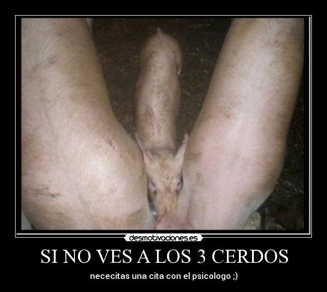 carteles desmotivaciones