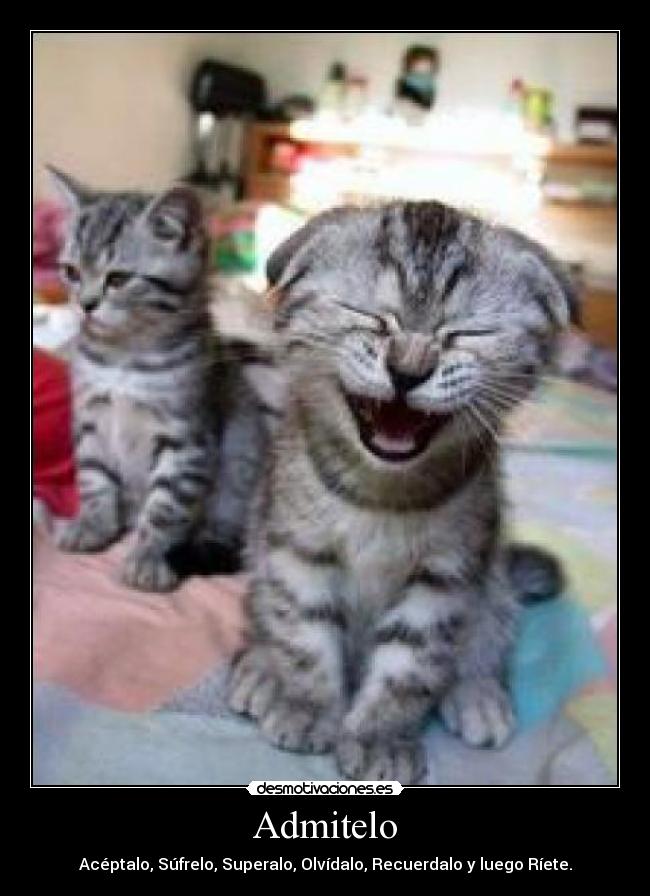 Admitelo - Acéptalo, Súfrelo, Superalo, Olvídalo, Recuerdalo y luego Ríete.