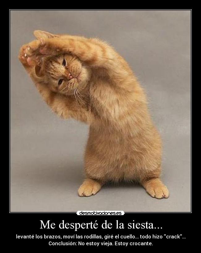 carteles desperte desmotivaciones