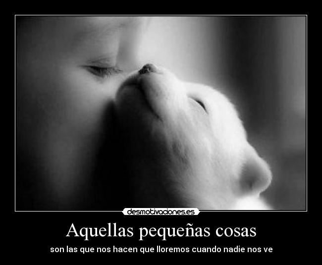 Aquellas pequeñas cosas - son las que nos hacen que lloremos cuando nadie nos ve