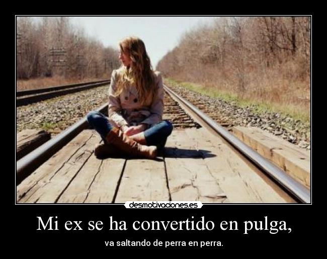 Mi ex se ha convertido en pulga, -