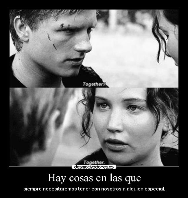 carteles pantera11 ljdh peeta katniss desmotivaciones