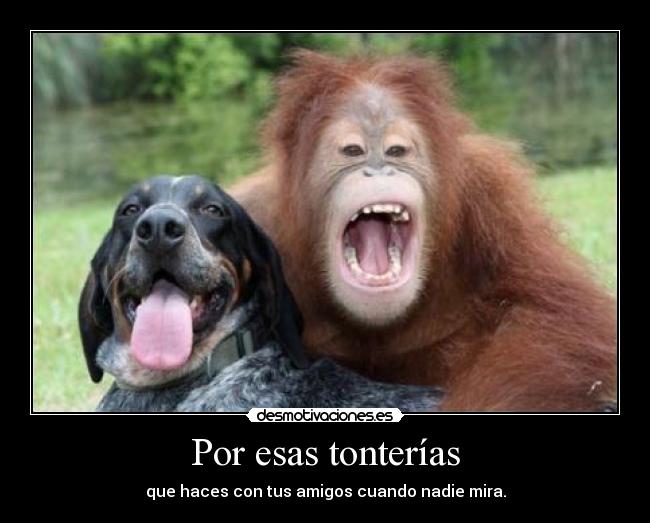 Por esas tonterías - que haces con tus amigos cuando nadie mira.