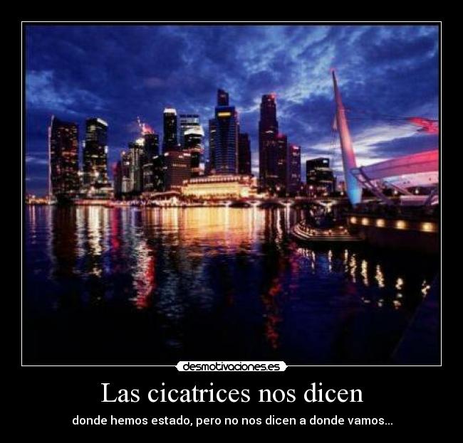 Las cicatrices nos dicen -