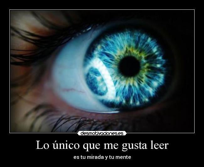 Lo único que me gusta leer - 
