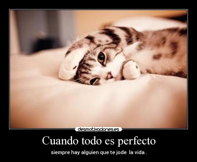 Cuando todo es perfecto -