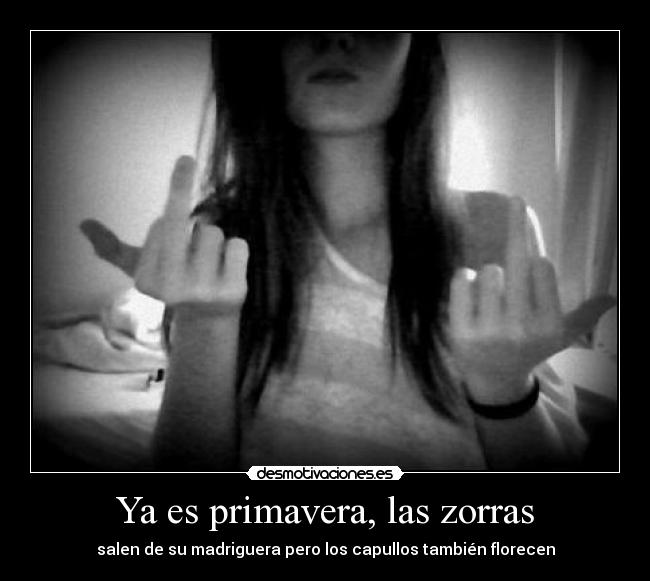 Ya es primavera, las zorras - salen de su madriguera pero los capullos también florecen