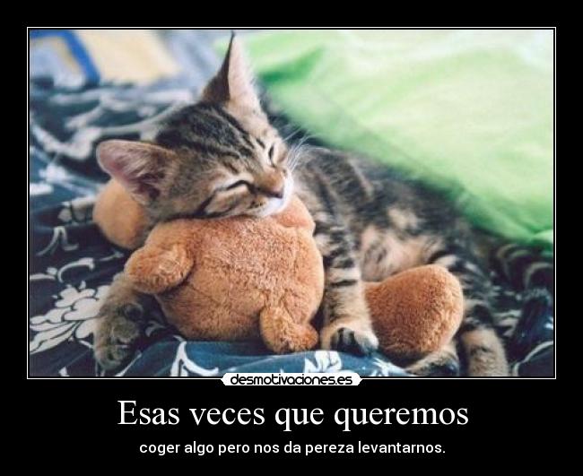 Esas veces que queremos -