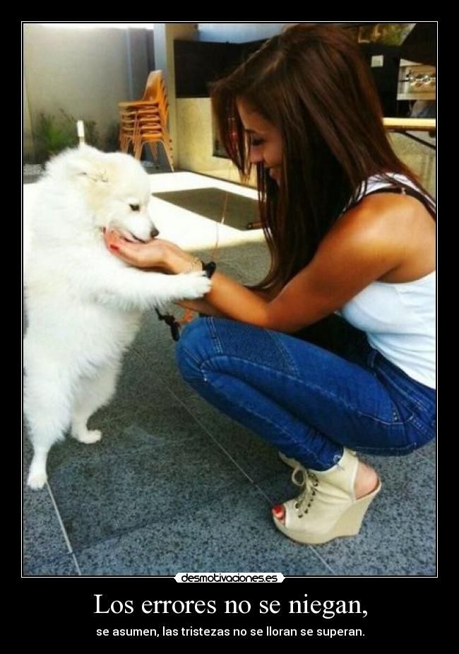 Los errores no se niegan, - se asumen, las tristezas no se lloran se superan.