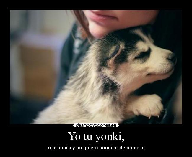 Yo tu yonki, - 