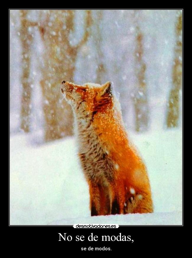 No se de modas, - se de modos.
