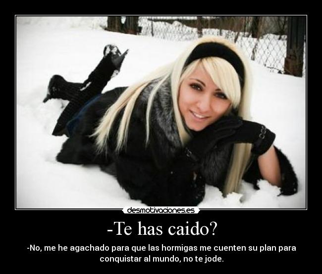 -Te has caido? - -No, me he agachado para que las hormigas me cuenten su plan para
conquistar al mundo, no te jode.