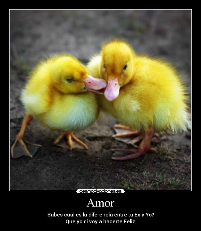 Amor - Sabes cual es la diferencia entre tu Ex y Yo?
Que yo si voy a hacerte Feliz.