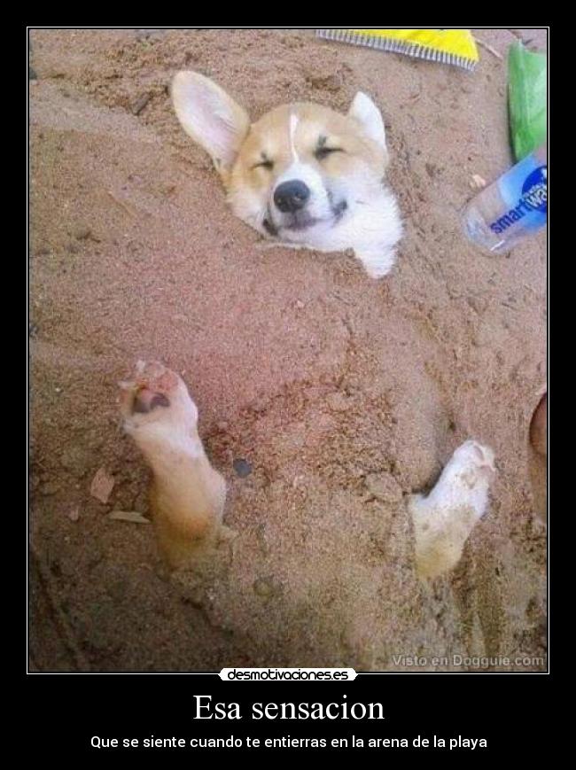Esa sensacion - Que se siente cuando te entierras en la arena de la playa
